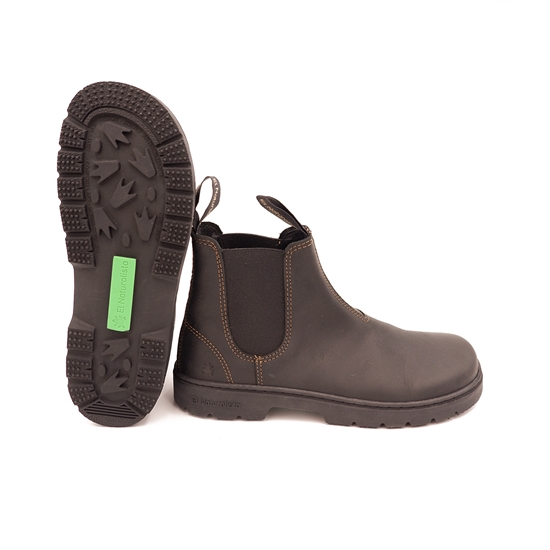 EL NATURALISTA - N5262