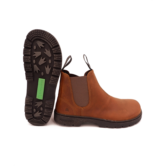 EL NATURALISTA - N5262