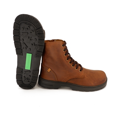 EL NATURALISTA - N5264